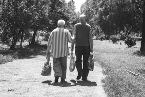 elder law attorney