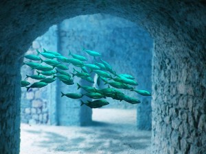 asset protection strategies